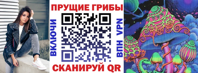 продажа наркотиков  Бикин  Галлюциногенные грибы GOLDEN TEACHER 