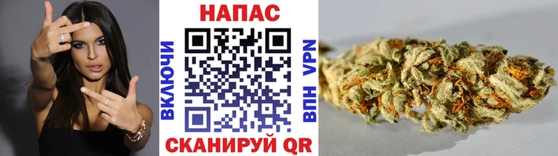 Бошки Шишки индика  даркнет сайт  Бикин 
